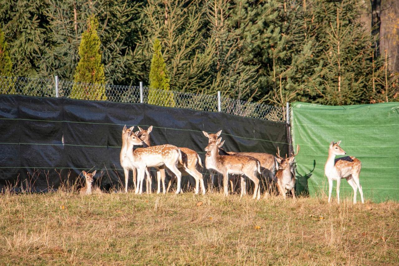 Grand Tatry - Miejsce Na Wyjatkowy Pobyt Dla Ciebie I Twojej Rodziny! - Sauna I Jacuzzi Wliczone W Cene Pobytu -10 Minut Pieszo Od Term Bania Bialka Tatrzanska Exterior foto