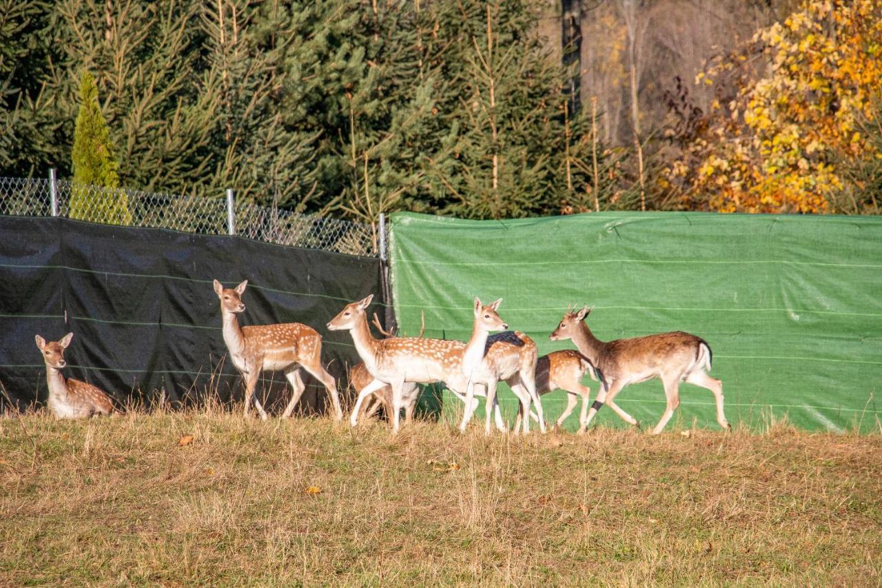 Grand Tatry - Miejsce Na Wyjatkowy Pobyt Dla Ciebie I Twojej Rodziny! - Sauna I Jacuzzi Wliczone W Cene Pobytu -10 Minut Pieszo Od Term Bania Bialka Tatrzanska Exterior foto